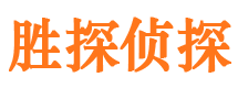 龙安胜探私家侦探公司